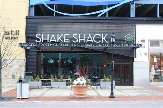 Dedham Shake Shack outdoor seating