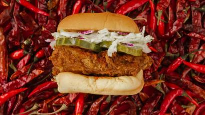 hot chicken sandwich, sitting on a solid background of hot peppers