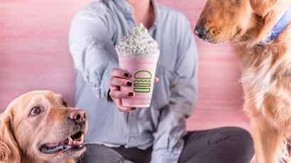Person holding a shake out to the camera. There are two golden retriever dogs looking at the shake from either side.